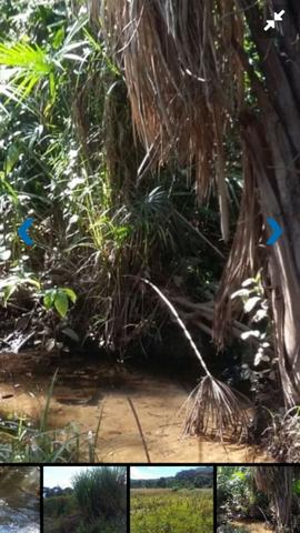 Fazenda bruta em Bom Jesus - PI - Foto 7