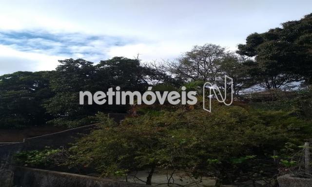 Casa à venda com 3 dormitórios em Jardim filadélfia, Belo horizonte cod:718950 - Foto 6