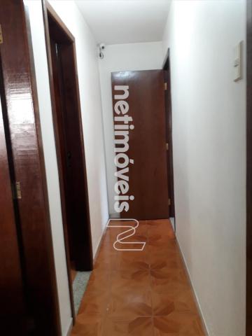 Casa à venda com 3 dormitórios em Alípio de melo, Belo horizonte cod:66975 - Foto 15