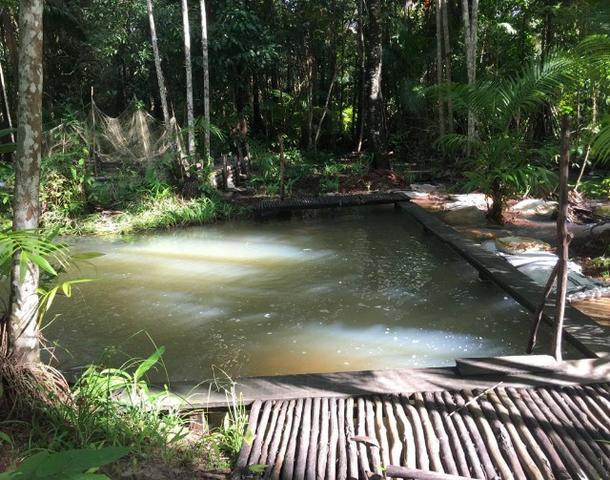 Vendo Sitio no Município de Santo Antonio do Tauá - Foto 14