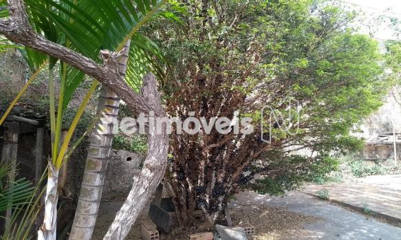 Casa à venda com 3 dormitórios em Jardim filadélfia, Belo horizonte cod:718950 - Foto 4