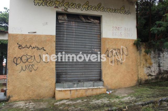 Casa à venda com 3 dormitórios em Serrano, Belo horizonte cod:742242 - Foto 14