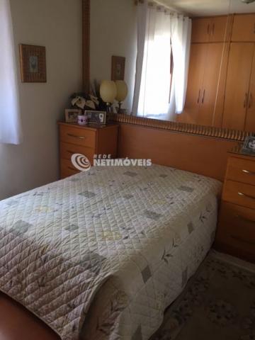 Casa à venda com 3 dormitórios em Alípio de melo, Belo horizonte cod:645005 - Foto 14