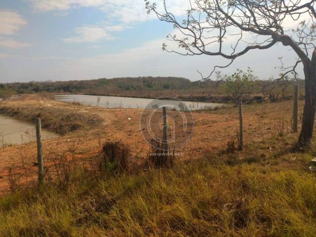 Chácara a 6 km do trevo do lagarto - Foto 4