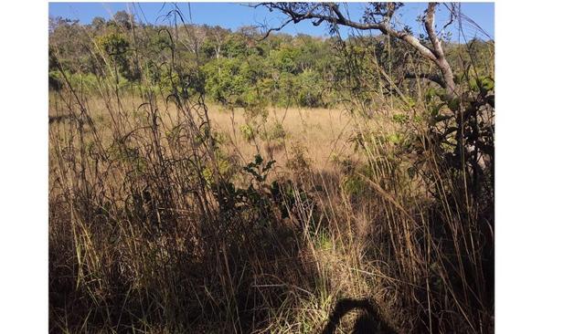 1450 Hectares, Oportunidade, Pecuária Santo Antônio do Leverger-MT