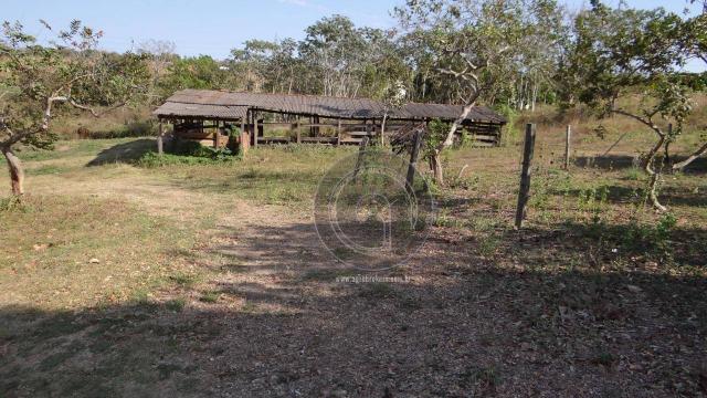 Chácara em área urbana para investimento - Foto 7