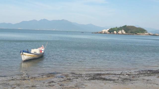 Galpão/depósito/armazém à venda em José mendes, Florianópolis cod:8244 - Foto 15