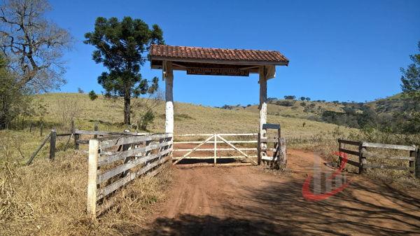 Rural fazenda com 4 quartos - Bairro Centro em Nova Tebas - Foto 9