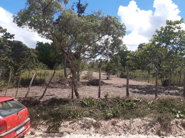 Terreno - Foto 4
