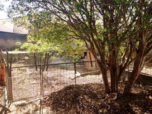 Terreno para alugar com 0 dormitórios em Jardim novo campos elíseos, Campinas cod:TE004486 - Foto 9