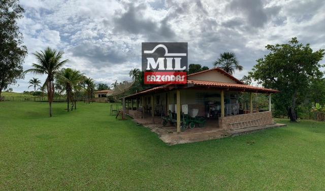 Vende ou troca por terra maior Chácara 5 Alqueires São Miguel do Passa Quatro-GO - Foto 4