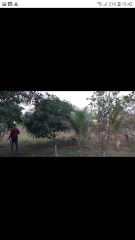 Vendo terreno,na Vila Acre,Ramal da Castanheira,medindo 20x45