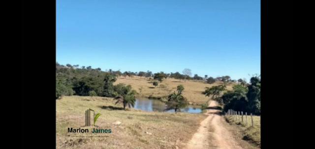 Fazenda em Morrinhos-Go - Foto 15