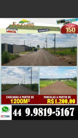 Chácaras em Mandaguaçu, parcelamento próprio e direto com a Loteadora