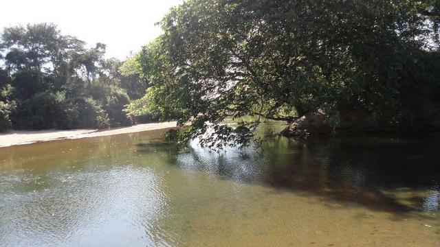 272 Alqs 100 Formados Aguada Boa Oportunidade Arraias TO - Foto 13