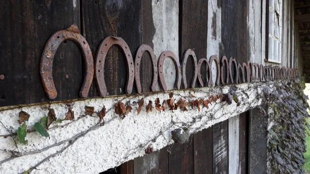 Coleção de ferraduras, 32 unidades - Foto 2