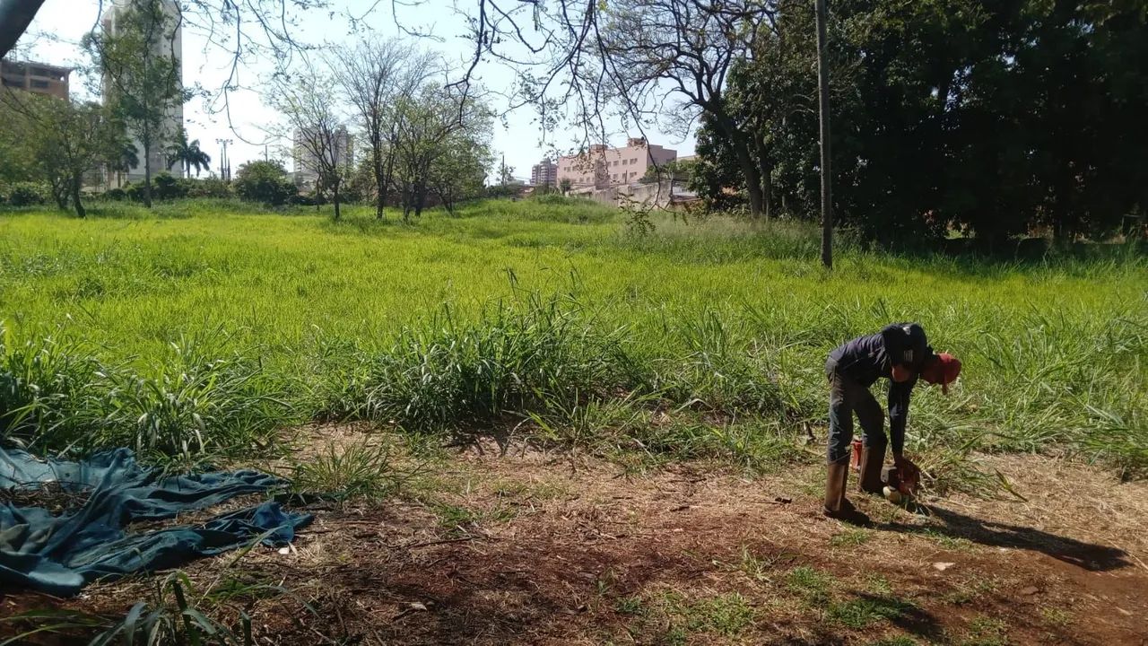 Roçada de terreno, limpeza e descarte  - Foto 2