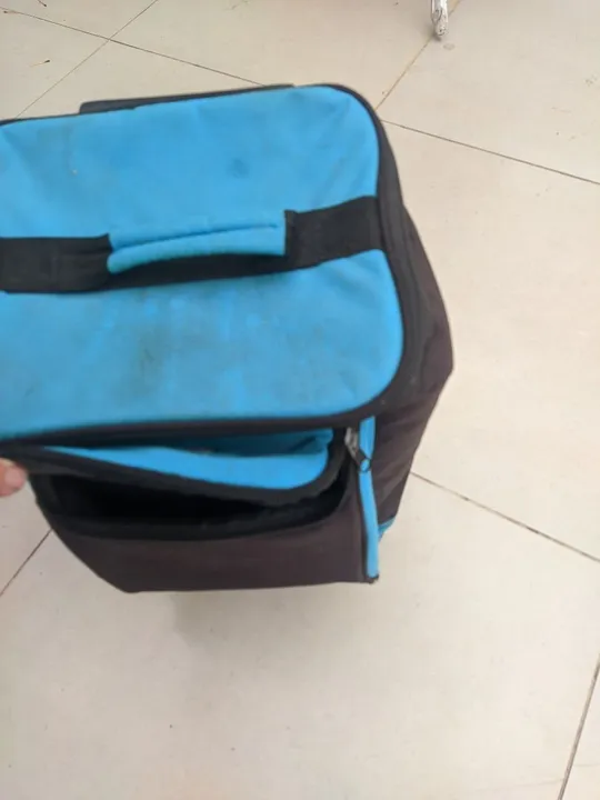 Bolsa térmica com rodas