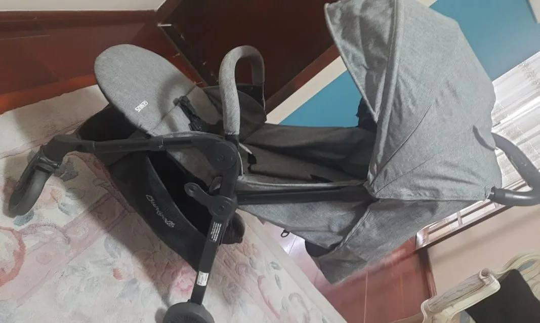 Carrinho Burigotto Genius cinza