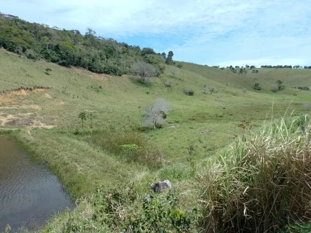FAZENDA EM CRAVOLÂNDIA - 750 TAREFAS - Foto 2