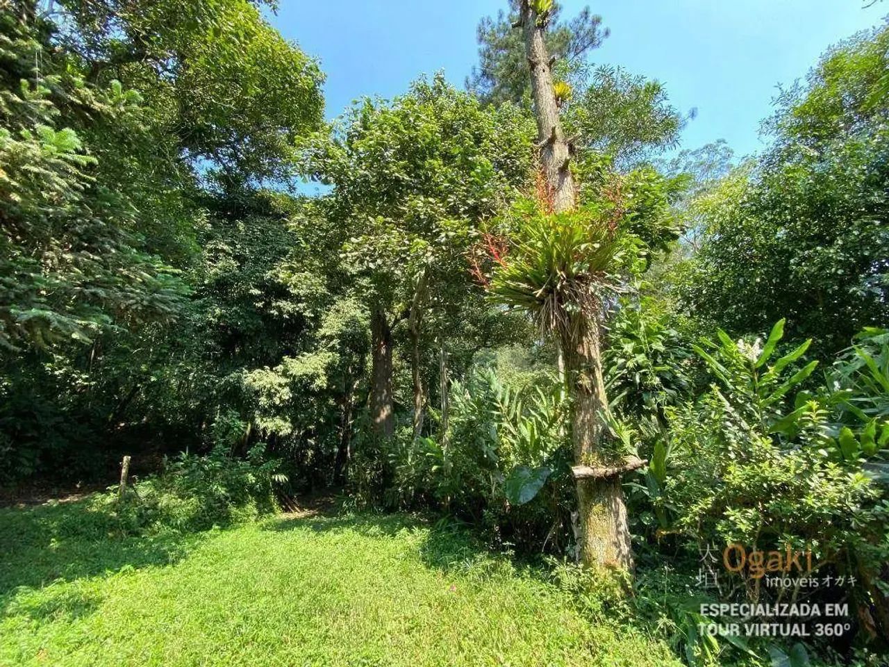 Chácara com 4 dormitórios à venda, 50000 m² por R$ 2.200.000,00 - Vila Balneária - São Ber - Foto 3