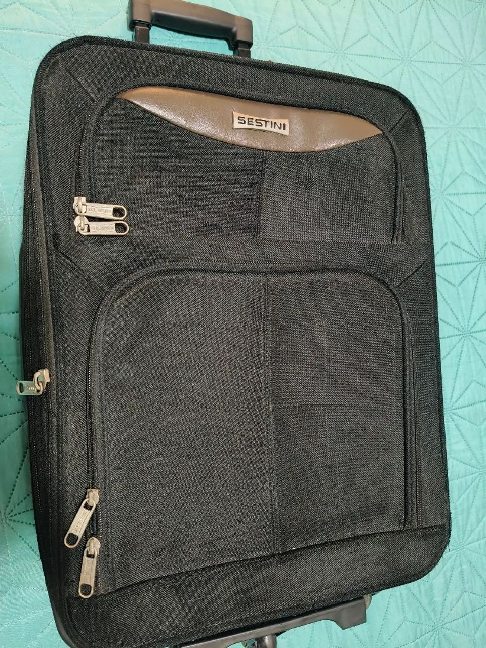 Mala Sestini  - Foto 3