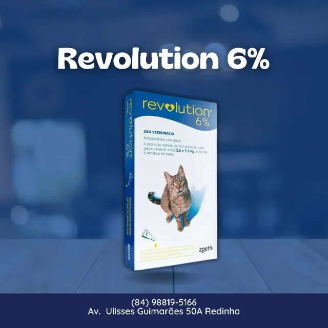 Revolution 6%