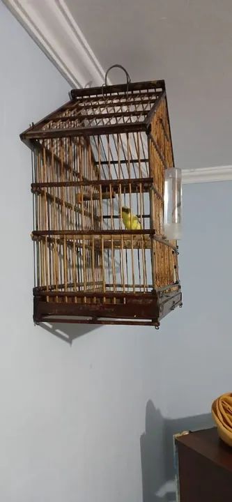 Gaiola de madeira para pássaros - Foto 3