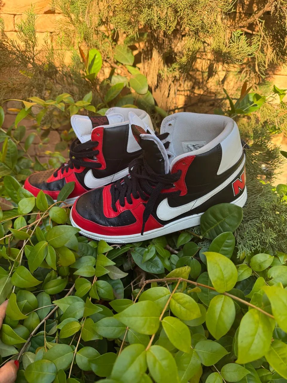 Tênis Nike masculino Terminator High 