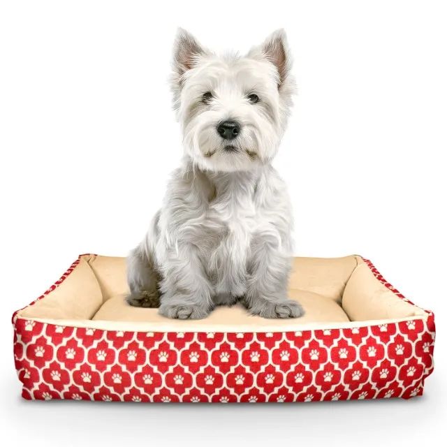 Caminha Pet Cachorro Gato Resistente Premium Estampada M