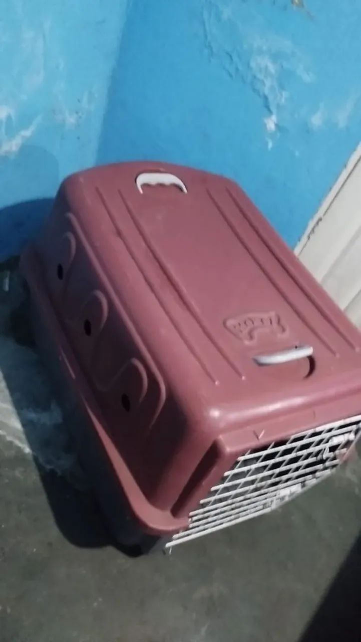 Caixa de Transporte para Pet