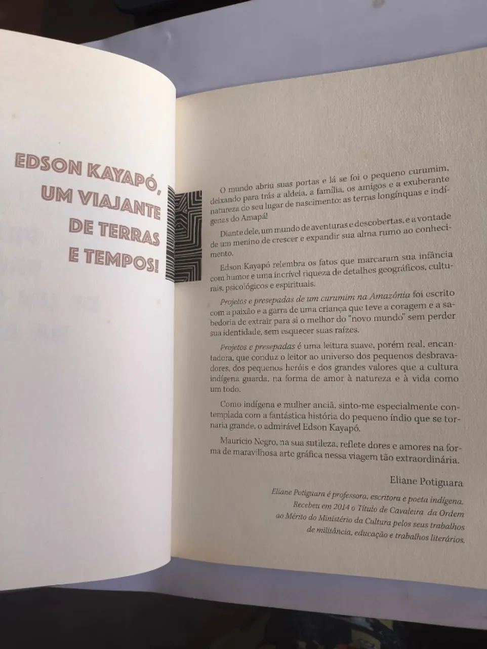 livro - Foto 2