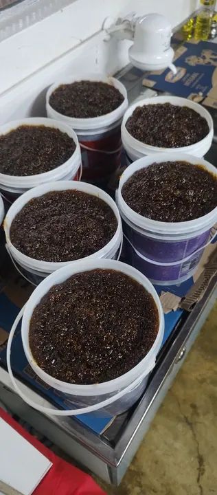 Vendo figada  - Foto 2