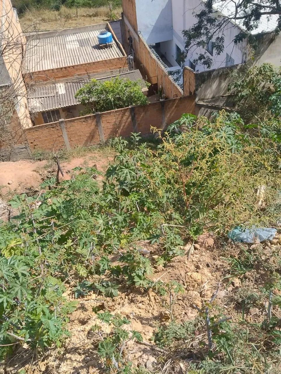 Lote 64728841916802120