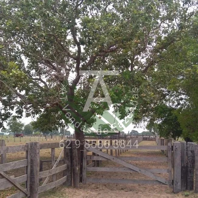 Fazenda de 1.590 hec em Serra Nova Dourada MT - Foto 3