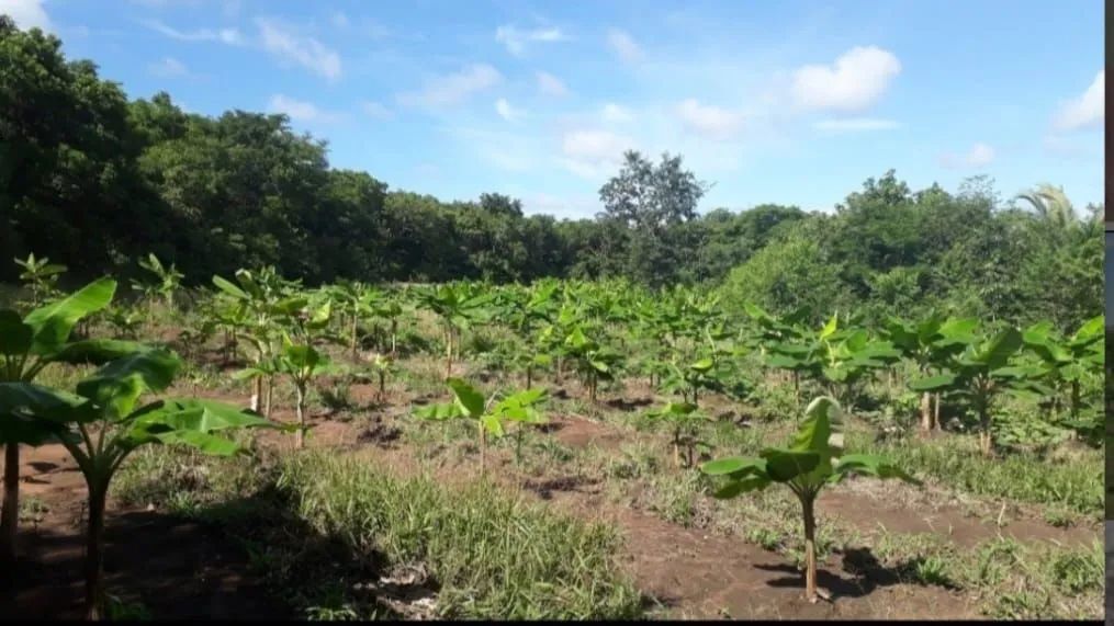Sítio Rosário Oeste  - Foto 5