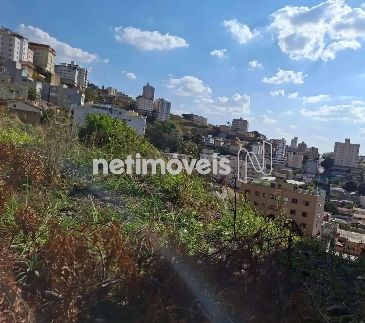 Lote amplo no Santa Lúcia - Foto 3