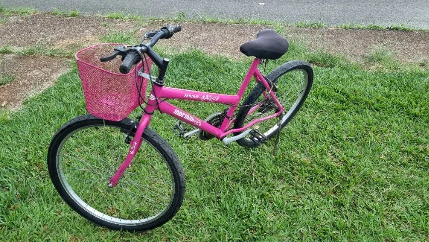 Bicicleta Mormaii 21 Marchas Aro 26  - Foto 3