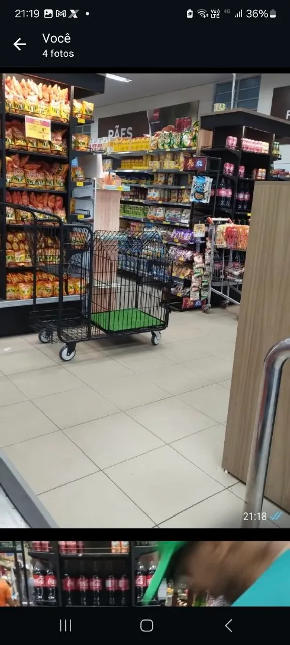 Carrinho de compras com gaiola.