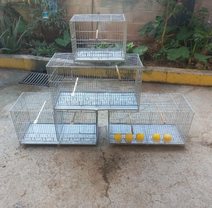 Gaiolas para Pássaros - Diversos Tamanhos