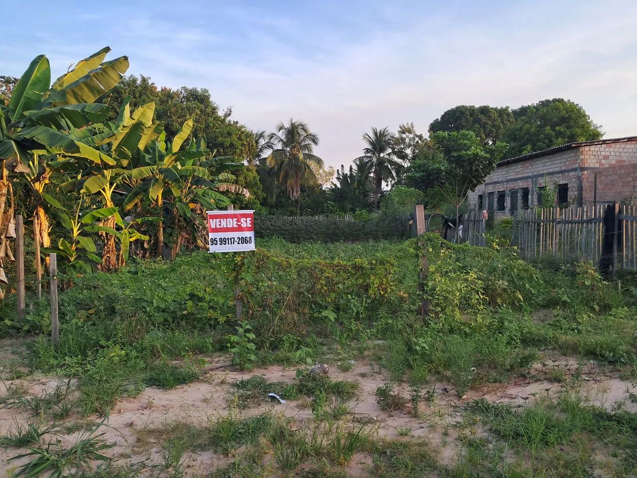 Foto - Boa Vista - Bela Vista