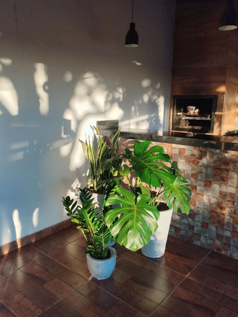 COSTELA DE ADÃO  - Foto 4