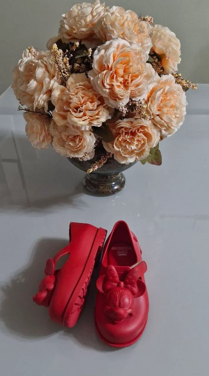 Mini melissa  - Foto 4