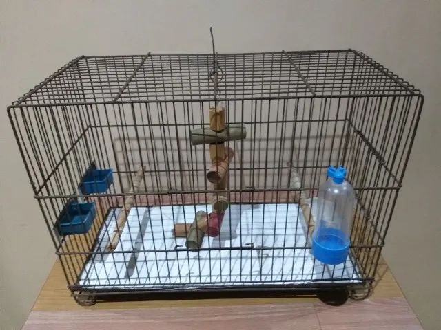 Completo gaiola de ferro - R$ 80 (Aceito PIX)