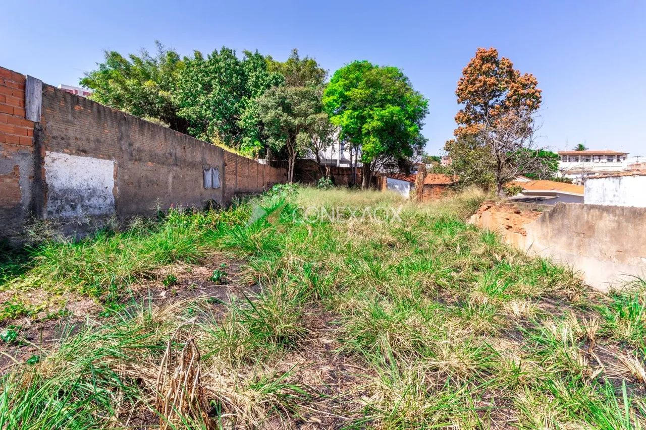 terreno - Vila Marieta - Campinas - Foto 2