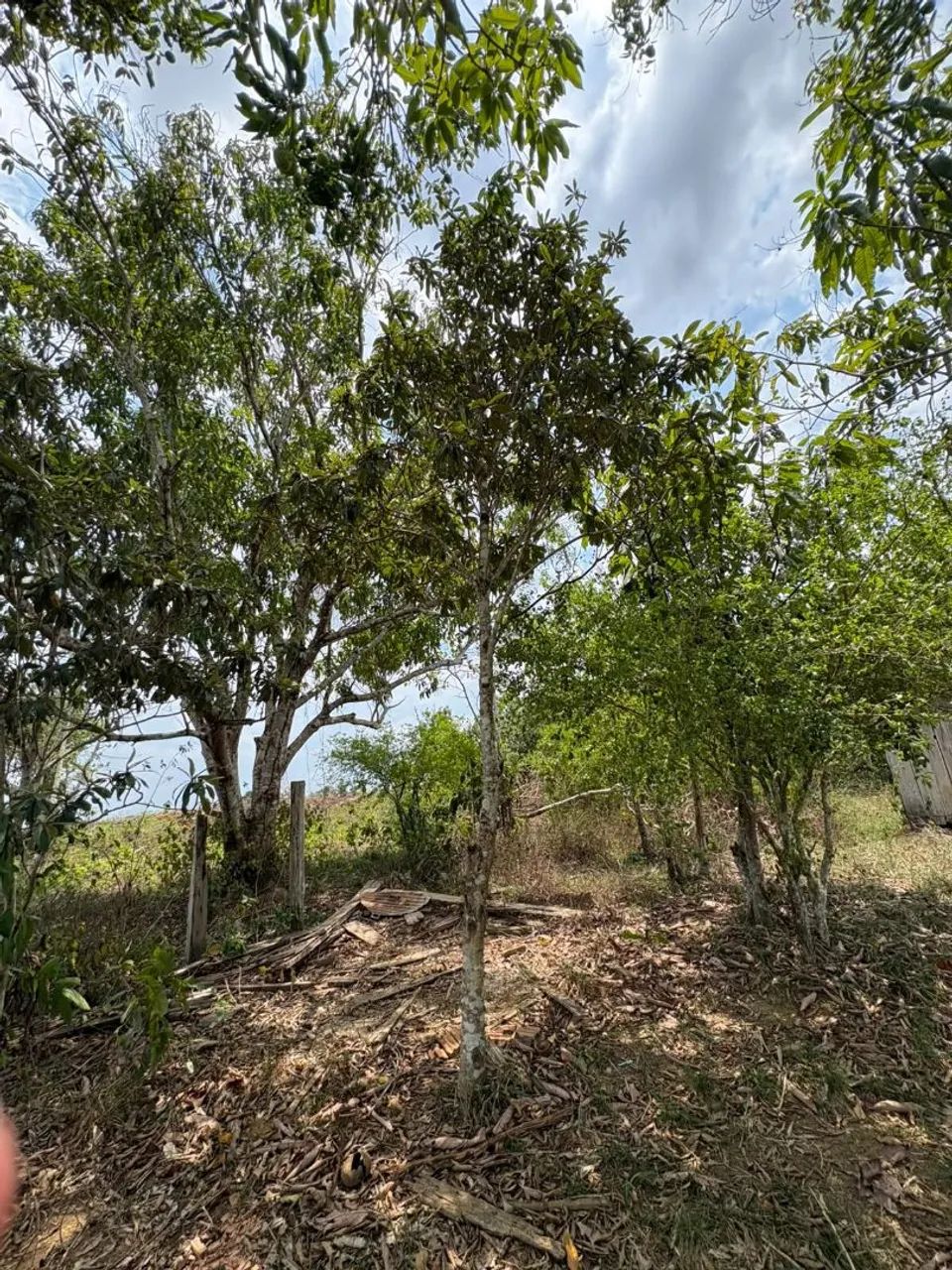 Terra títulada - Foto 5