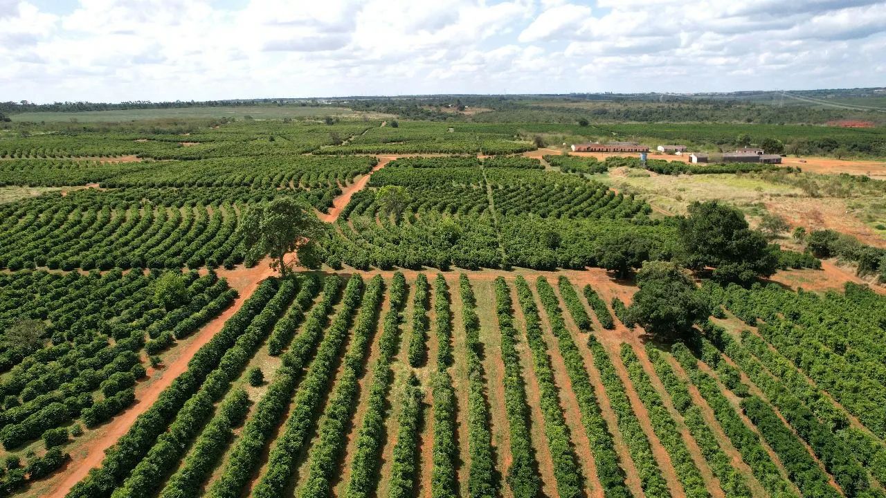 Foto - Teófilo Otoni - 