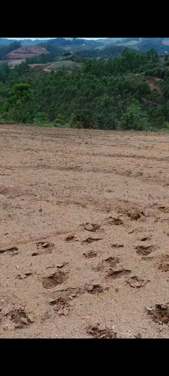 Vendo terreno em Arace, Pedra Azul - Foto 4