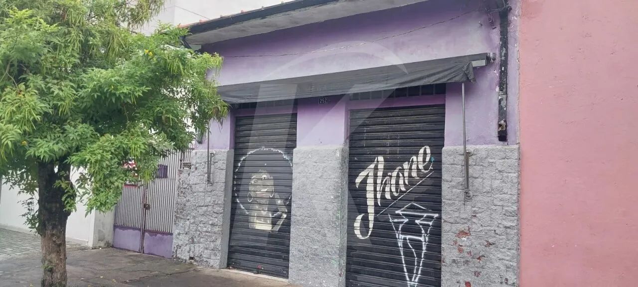 Terreno na Vila Maria Alta - Foto 4