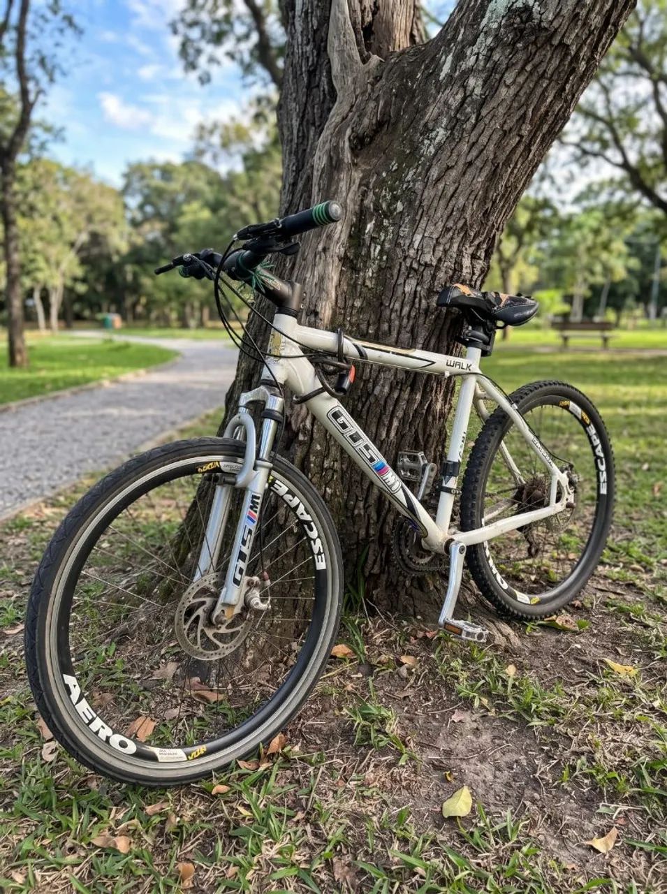 Bike GTSM1